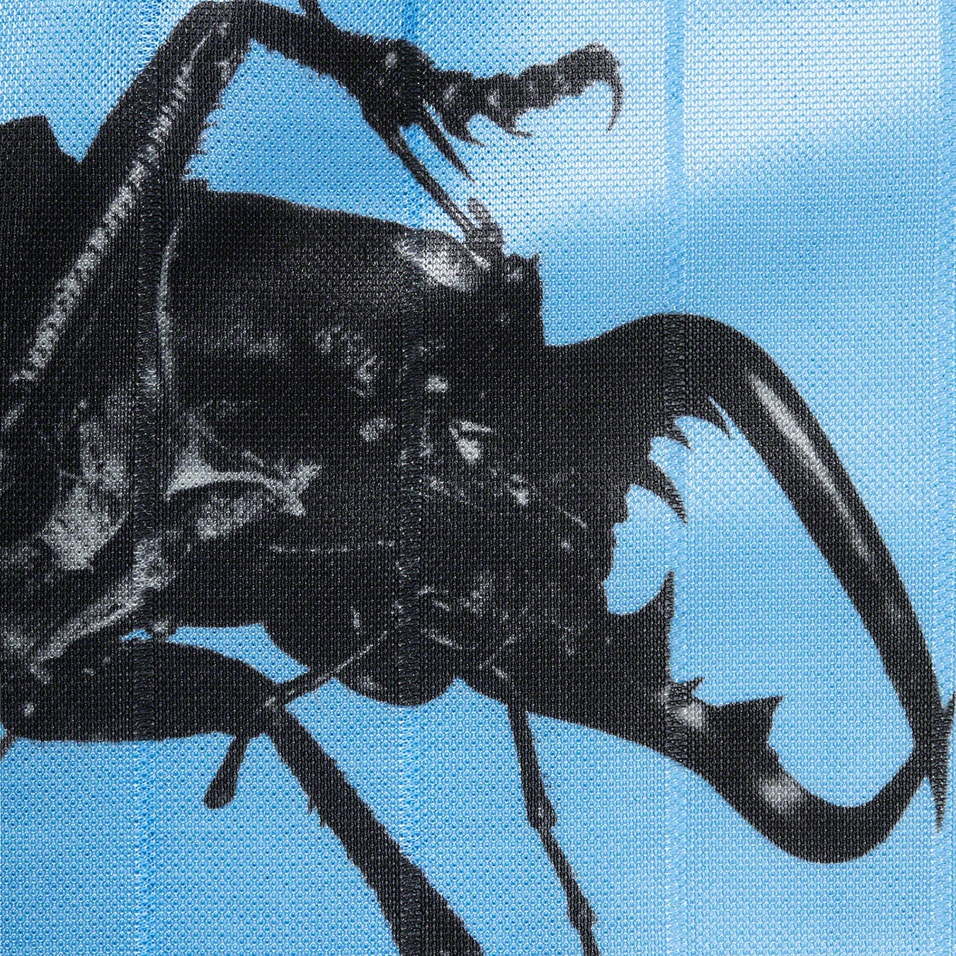 Beetle Short view 7